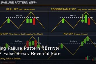 Swing Failure Pattern วิธีเทรด SFP False Break Reversal Forex