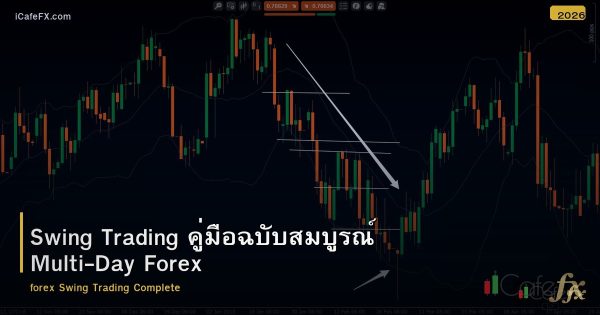 Swing Trading คู่มือฉบับสมบูรณ์ Multi-Day Forex