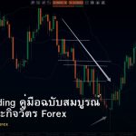 Swing Trading คู่มือฉบับสมบูรณ์ กลยุทธ์และกิจวัตร Forex