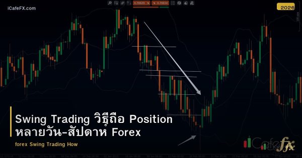 Swing Trading วิธีถือ Position หลายวัน-สัปดาห์ Forex