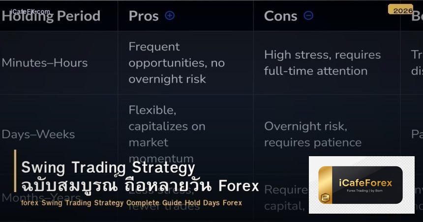 Swing Trading Strategy ฉบับสมบูรณ์ ถือหลายวัน Forex