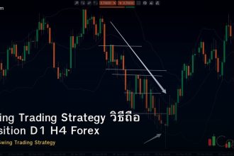 Swing Trading Strategy วิธีถือ Position D1 H4 Forex