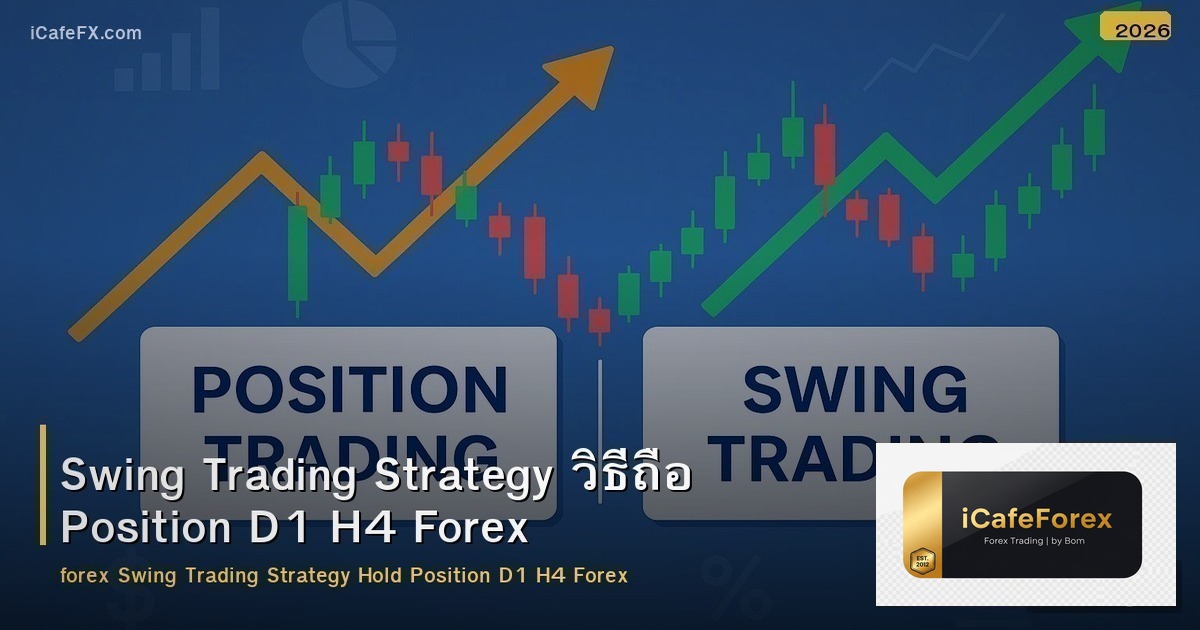 Swing Trading Strategy วิธีถือ Position D1 H4 Forex