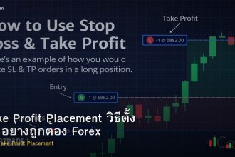 Take Profit Placement วิธีตั้ง TP อย่างถูกต้อง Forex