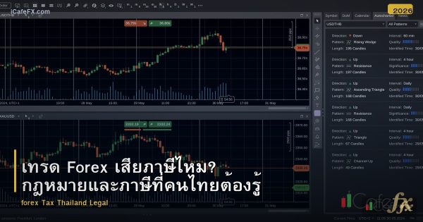 เทรด Forex เสียภาษีไหม? กฎหมายและภาษีที่คนไทยต้องรู้