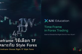 Timeframe วิธีเลือก TF ที่เหมาะกับ Style Forex