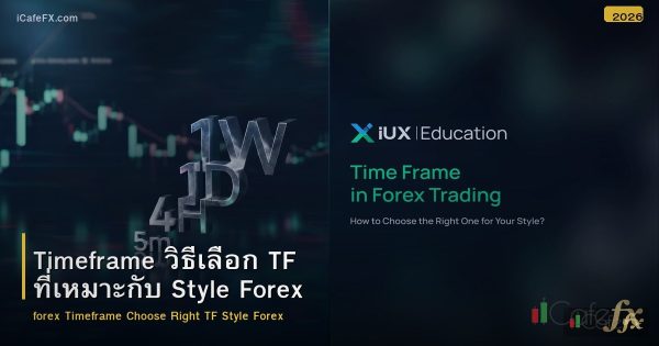 Timeframe วิธีเลือก TF ที่เหมาะกับ Style Forex