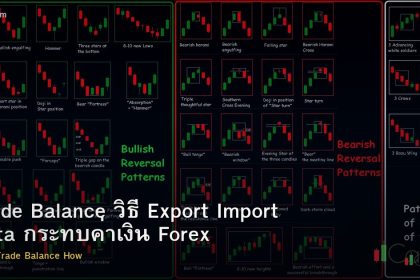Trade Balance วิธี Export Import Data กระทบค่าเงิน Forex