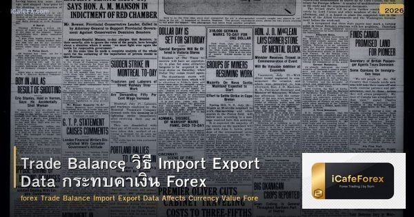 Trade Balance วิธี Import Export Data กระทบค่าเงิน Forex