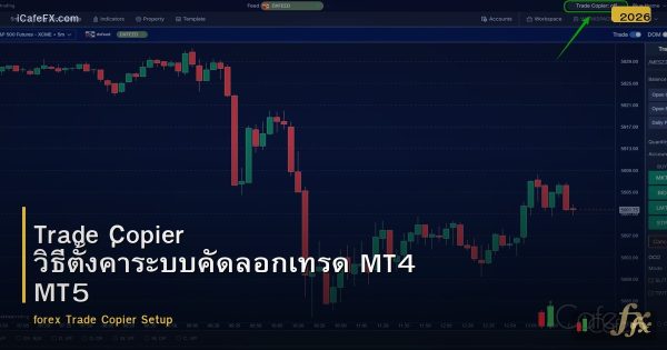 Trade Copier วิธีตั้งค่าระบบคัดลอกเทรด MT4 MT5