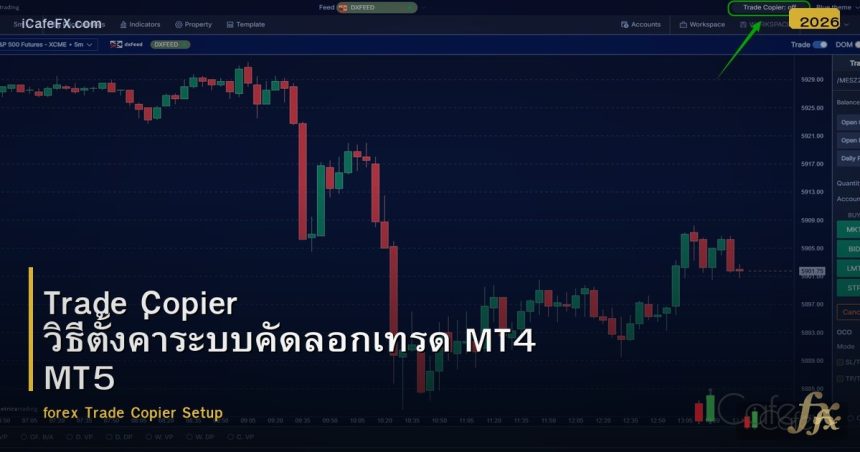 Trade Copier วิธีตั้งค่าระบบคัดลอกเทรด MT4 MT5