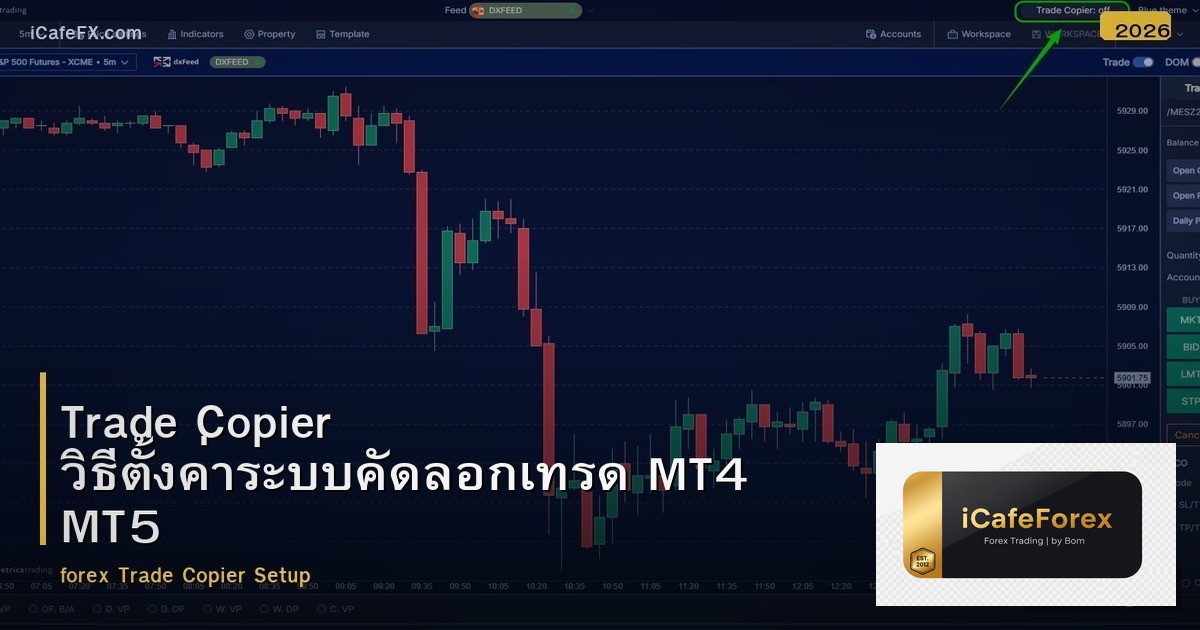 Trade Copier วิธีตั้งค่าระบบคัดลอกเทรด MT4 MT5