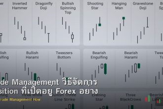 Trade Management วิธีจัดการ Position ที่เปิดอยู่ Forex อย่างมืออาชีพ