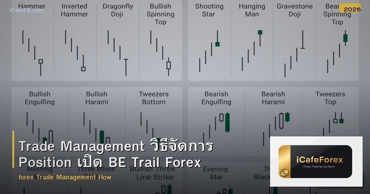 Trade Management วิธีจัดการ Position เปิด BE Trail Forex
