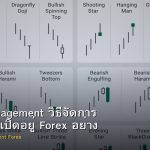 Trade Management วิธีจัดการ Position ที่เปิดอยู่ Forex อย่างมืออาชีพ
