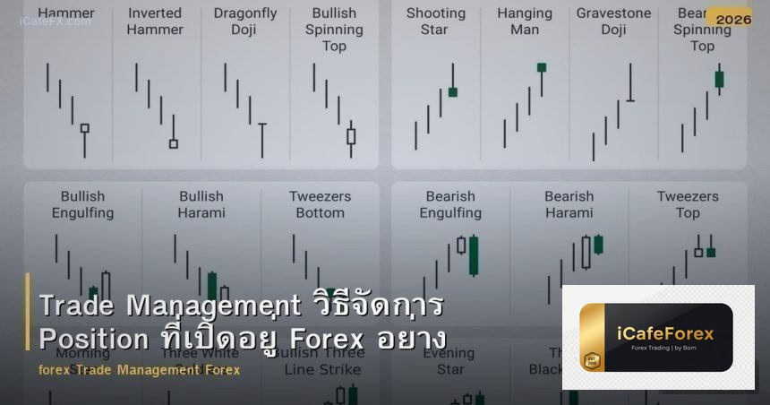 Trade Management วิธีจัดการ Position ที่เปิดอยู่ Forex อย่างมืออาชีพ