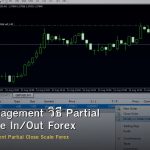 Trade Management วิธี Partial Close Scale In/Out Forex