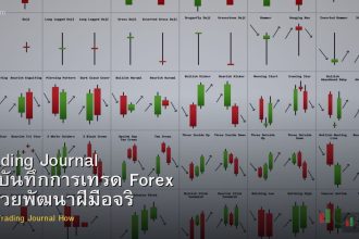 Trading Journal วิธีบันทึกการเทรด Forex ที่ช่วยพัฒนาฝีมือจริง