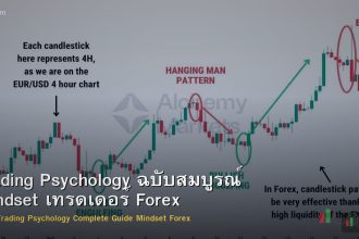 Trading Psychology ฉบับสมบูรณ์ Mindset เทรดเดอร์ Forex