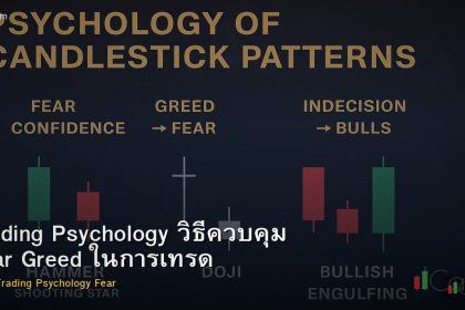 Trading Psychology วิธีควบคุม Fear Greed ในการเทรด