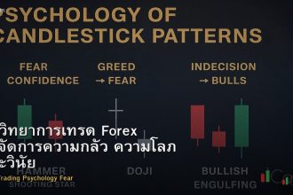 จิตวิทยาการเทรด Forex วิธีจัดการความกลัว ความโลภ และวินัย