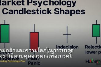 ความกลัวและความโลภในการเทรด Forex วิธีควบคุมอารมณ์เพื่อเทรดให้ดีขึ้น
