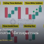 Trading Psychology จิตวิทยาการเทรด วิธีควบคุมอารมณ์ Forex