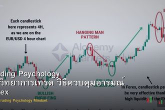 Trading Psychology จิตวิทยาการเทรด วิธีควบคุมอารมณ์ Forex
