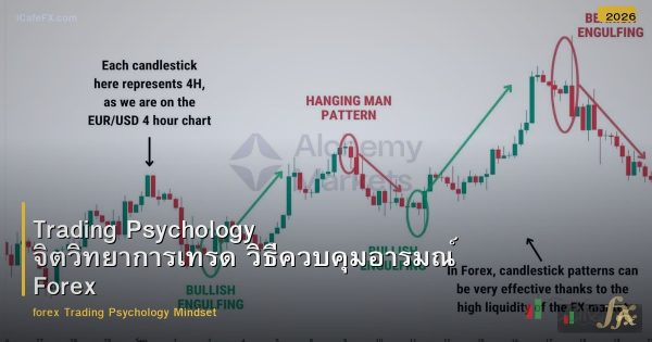 Trading Psychology จิตวิทยาการเทรด วิธีควบคุมอารมณ์ Forex