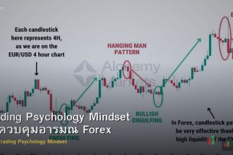 Trading Psychology Mindset วิธีควบคุมอารมณ์ Forex