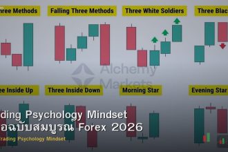 Trading Psychology Mindset คู่มือฉบับสมบูรณ์ Forex 2026