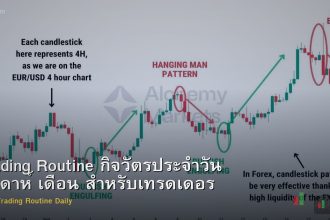 Trading Routine กิจวัตรประจำวัน สัปดาห์ เดือน สำหรับเทรดเดอร์ Forex