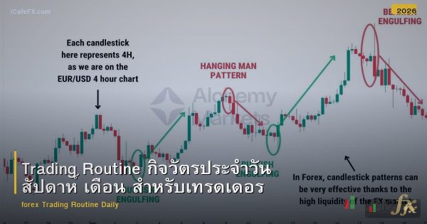 Trading Routine กิจวัตรประจำวัน สัปดาห์ เดือน สำหรับเทรดเดอร์ Forex