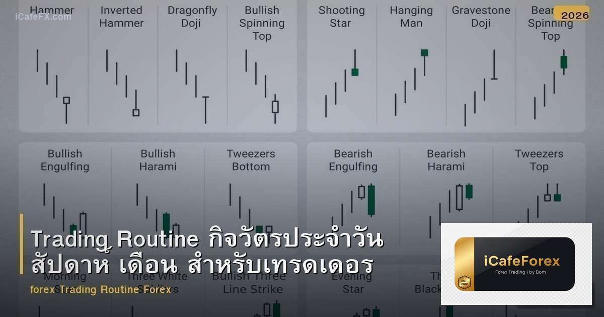 Trading Routine กิจวัตรประจำวัน สัปดาห์ เดือน สำหรับเทรดเดอร์ Forex