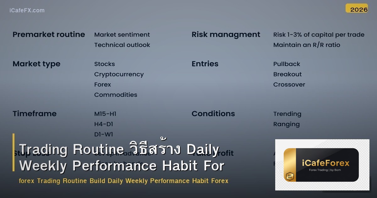 Trading Routine วิธีสร้าง Daily Weekly Performance Habit Forex