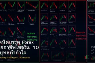 เทคนิคเทรด Forex ที่มืออาชีพใช้จริง: 10 กลยุทธ์ทำกำไร