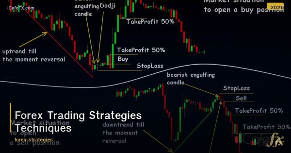 เทคนิคเทรด Forex ที่มืออาชีพใช้จริง: 10 กลยุทธ์ทำกำไร