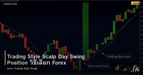 Trading Style Scalp Day Swing Position วิธีเลือก Forex
