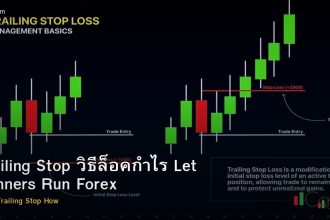 Trailing Stop วิธีล็อคกำไร Let Winners Run Forex