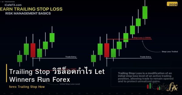 Trailing Stop วิธีล็อคกำไร Let Winners Run Forex