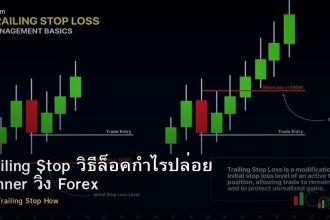 Trailing Stop วิธีล็อคกำไรปล่อย Winner วิ่ง Forex