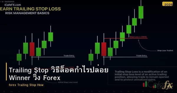 Trailing Stop วิธีล็อคกำไรปล่อย Winner วิ่ง Forex