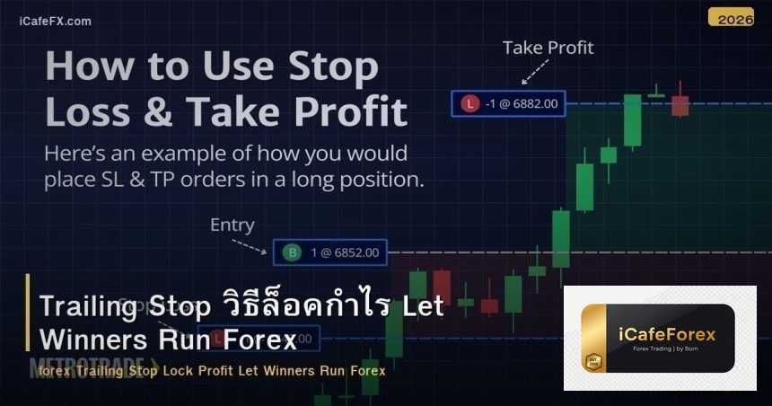 Trailing Stop วิธีล็อคกำไร Let Winners Run Forex