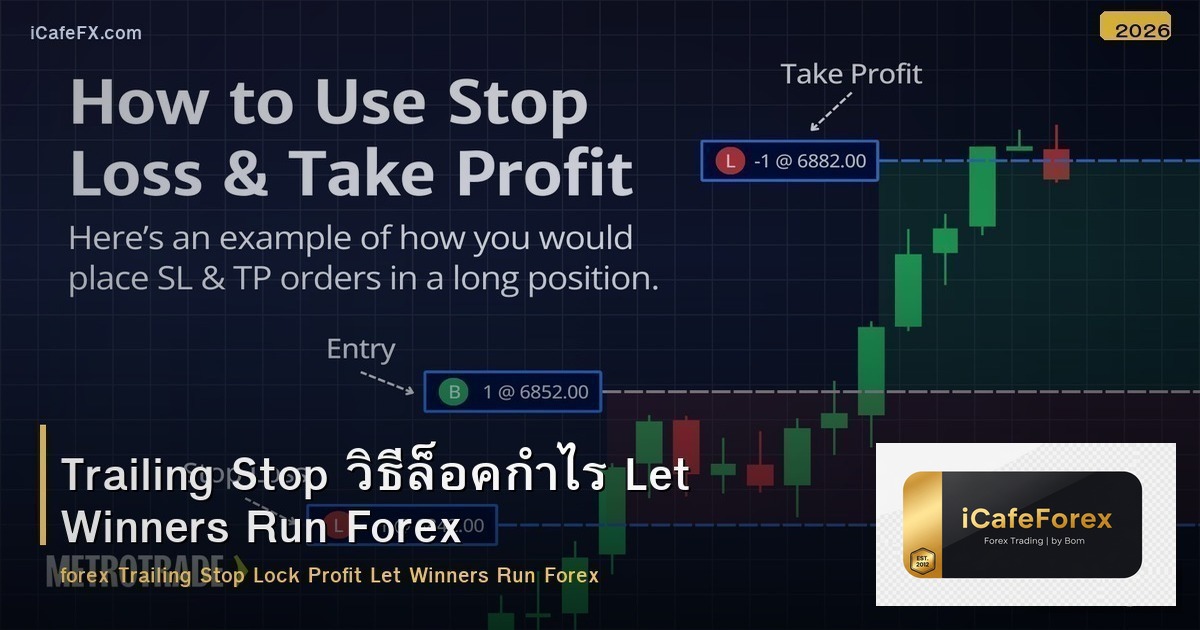 Trailing Stop วิธีล็อคกำไร Let Winners Run Forex