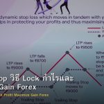 Trailing Stop วิธี Lock กำไรและ Maximize Gain Forex