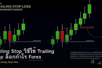 Trailing Stop วิธีใช้ Trailing Stop ล็อกกำไร Forex