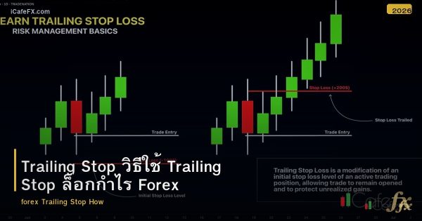 Trailing Stop วิธีใช้ Trailing Stop ล็อกกำไร Forex
