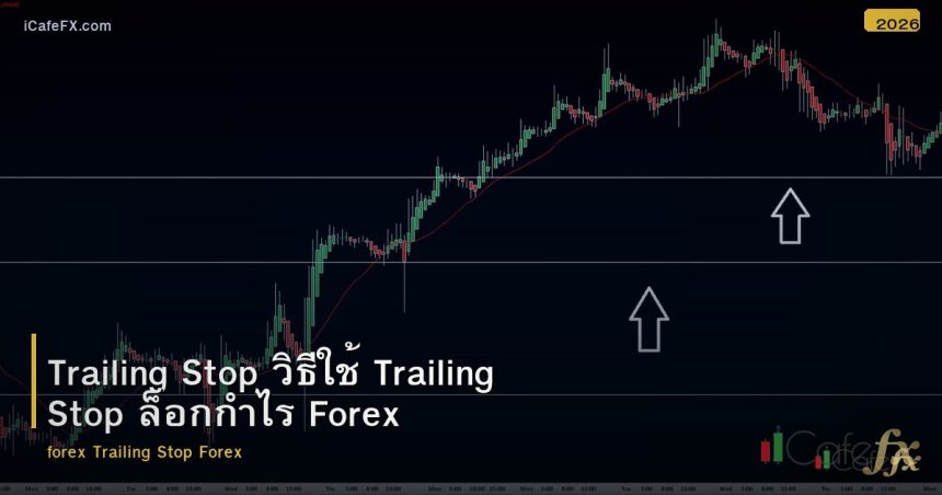Trailing Stop วิธีใช้ Trailing Stop ล็อกกำไร Forex