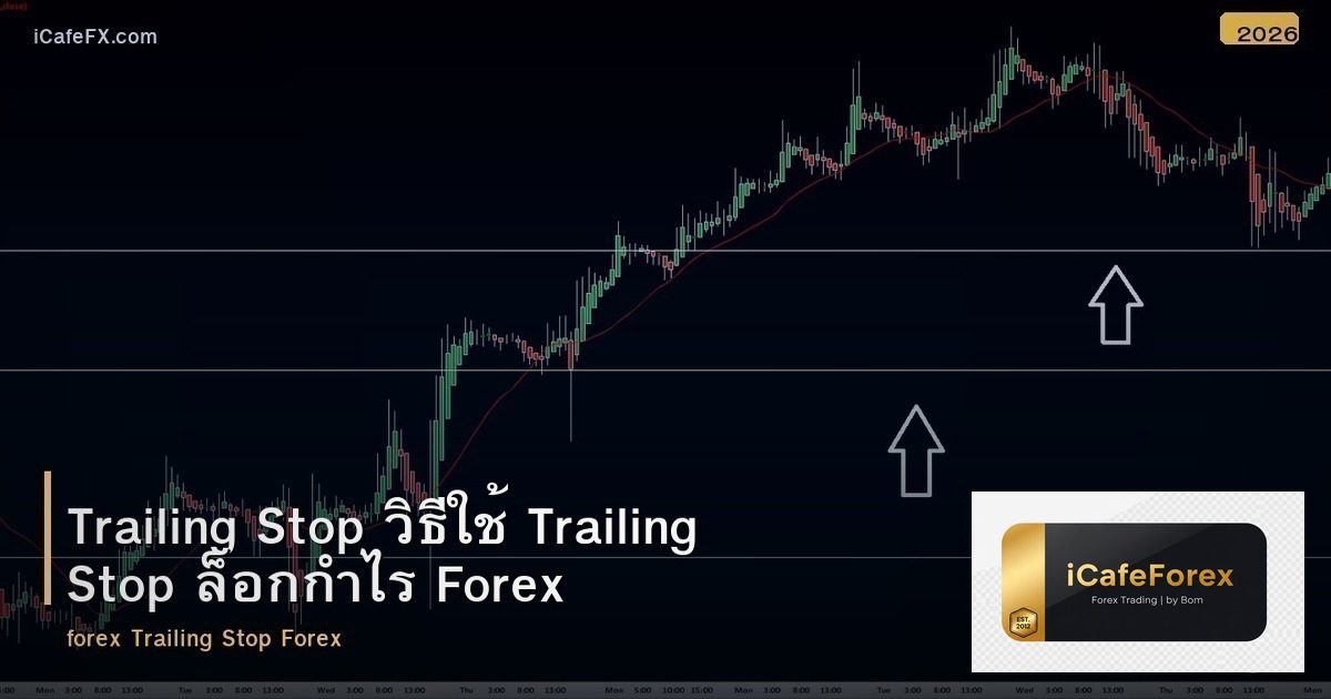 Trailing Stop วิธีใช้ Trailing Stop ล็อกกำไร Forex