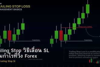 Trailing Stop วิธีเลื่อน SL ตามกำไรที่วิ่ง Forex